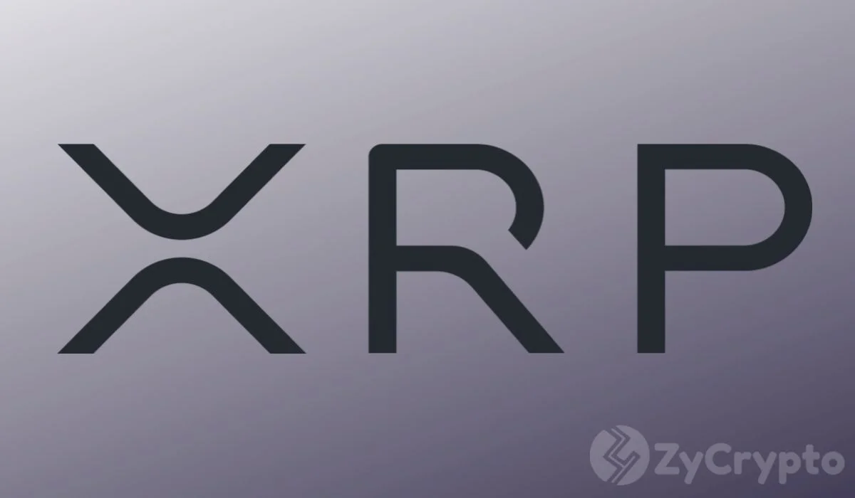 XRP Ledger Transfer Value Nears $50 Billion as XRP Price Falls to $1.25