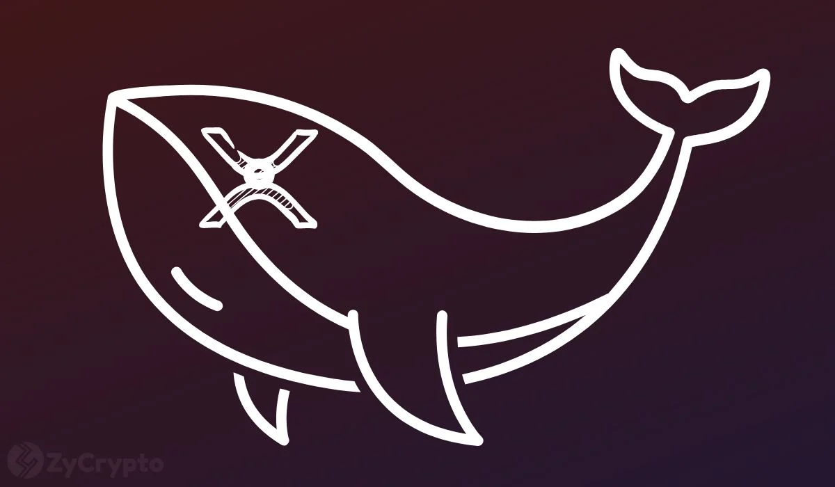XRP Whale Inflows to Binance Reach 1.669 Billion in Seven Months