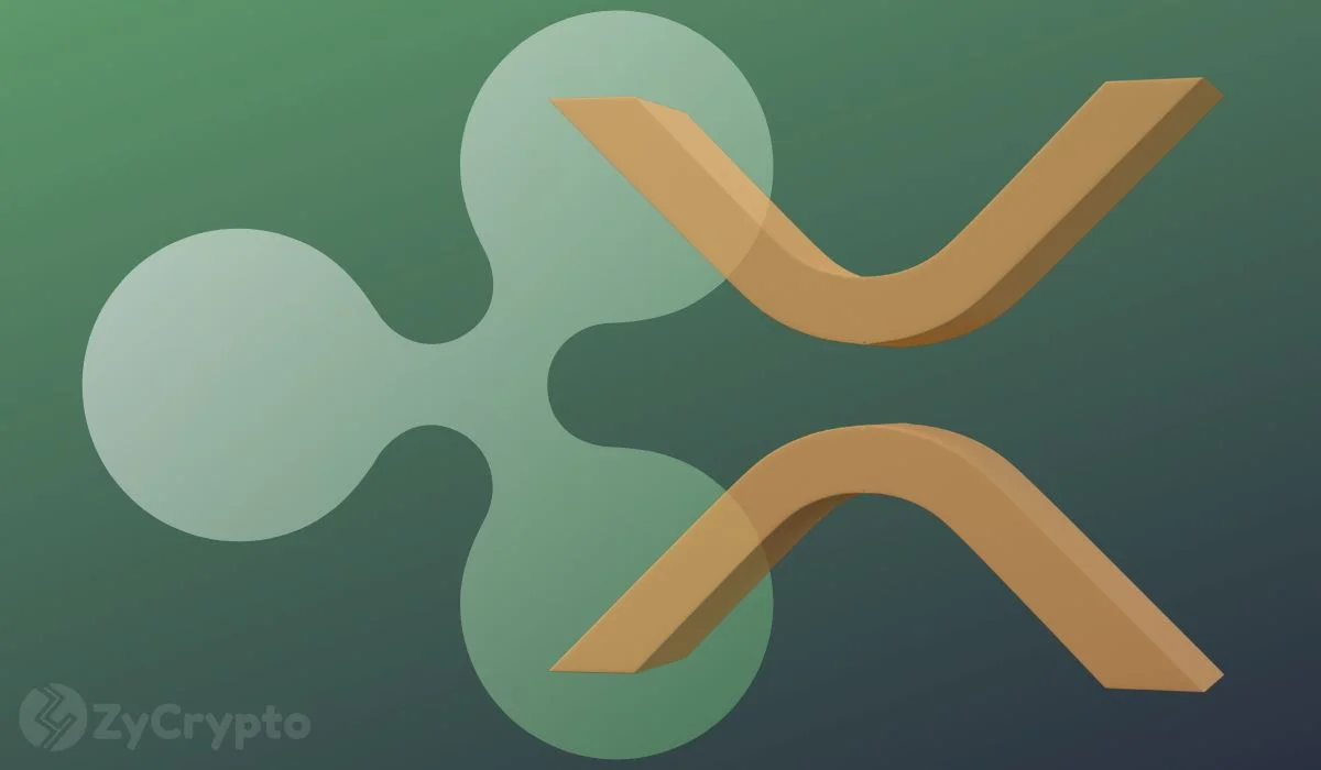 Ripple and Privy Add Wallet Tools for XRP Ledger Developers and AI Payments